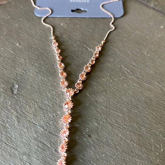 Brand New Express Necklace - Picture 2 of 6